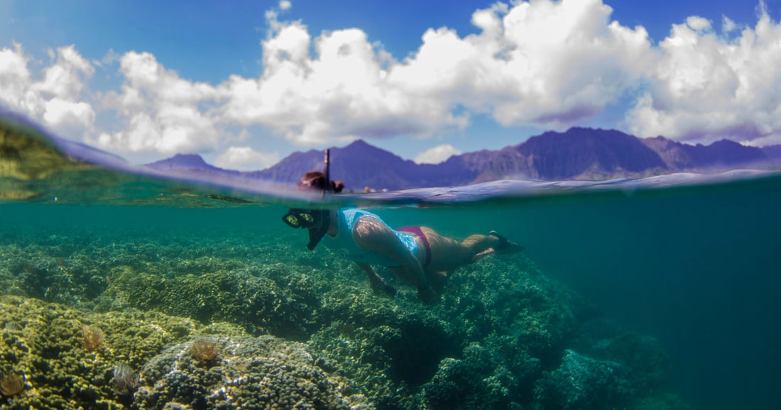 Best Places to Snorkel on Oahu for Beginners