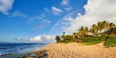 Best Beaches On Oahu's North Shore