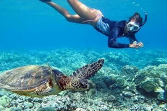 Best Places To Snorkel On Oahu’s North Shore