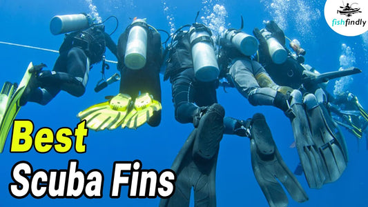 Choosing The Best Scuba Diving Equipment For Hawaii