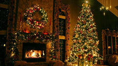 12 Days of Christmas