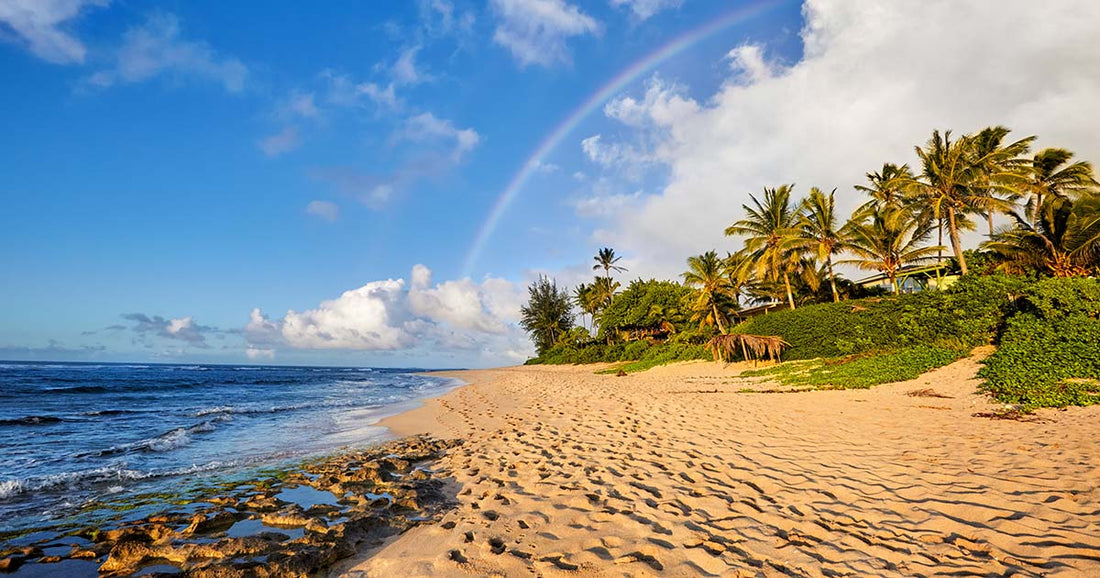 Peaceful sandy shoreline on Oahu's North Shore