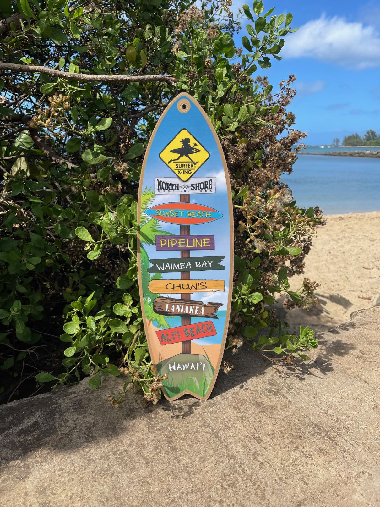 SNS SURFBOARD BEACHES SIGN