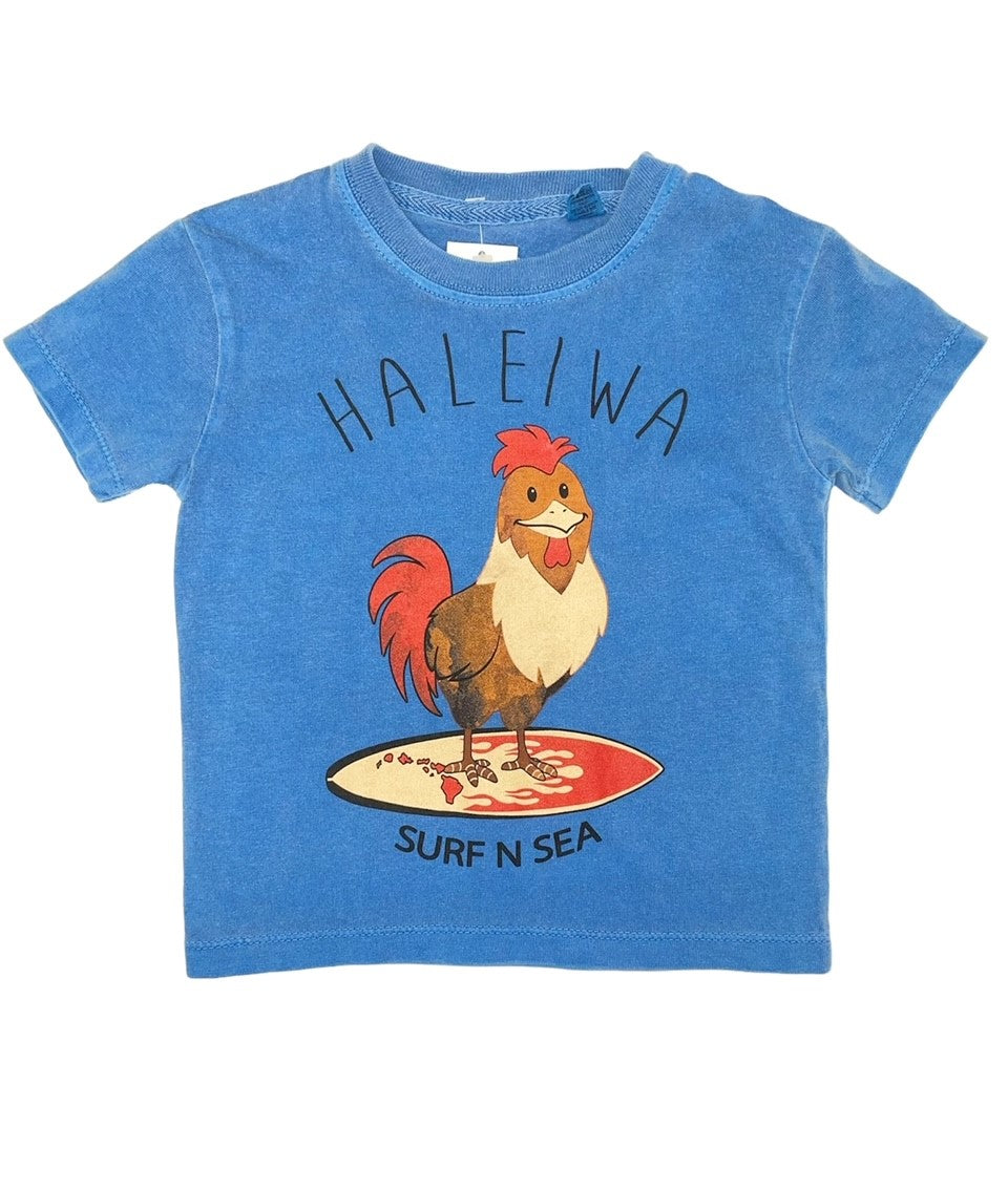 SNSTRST^TAHBLU.JPG?0