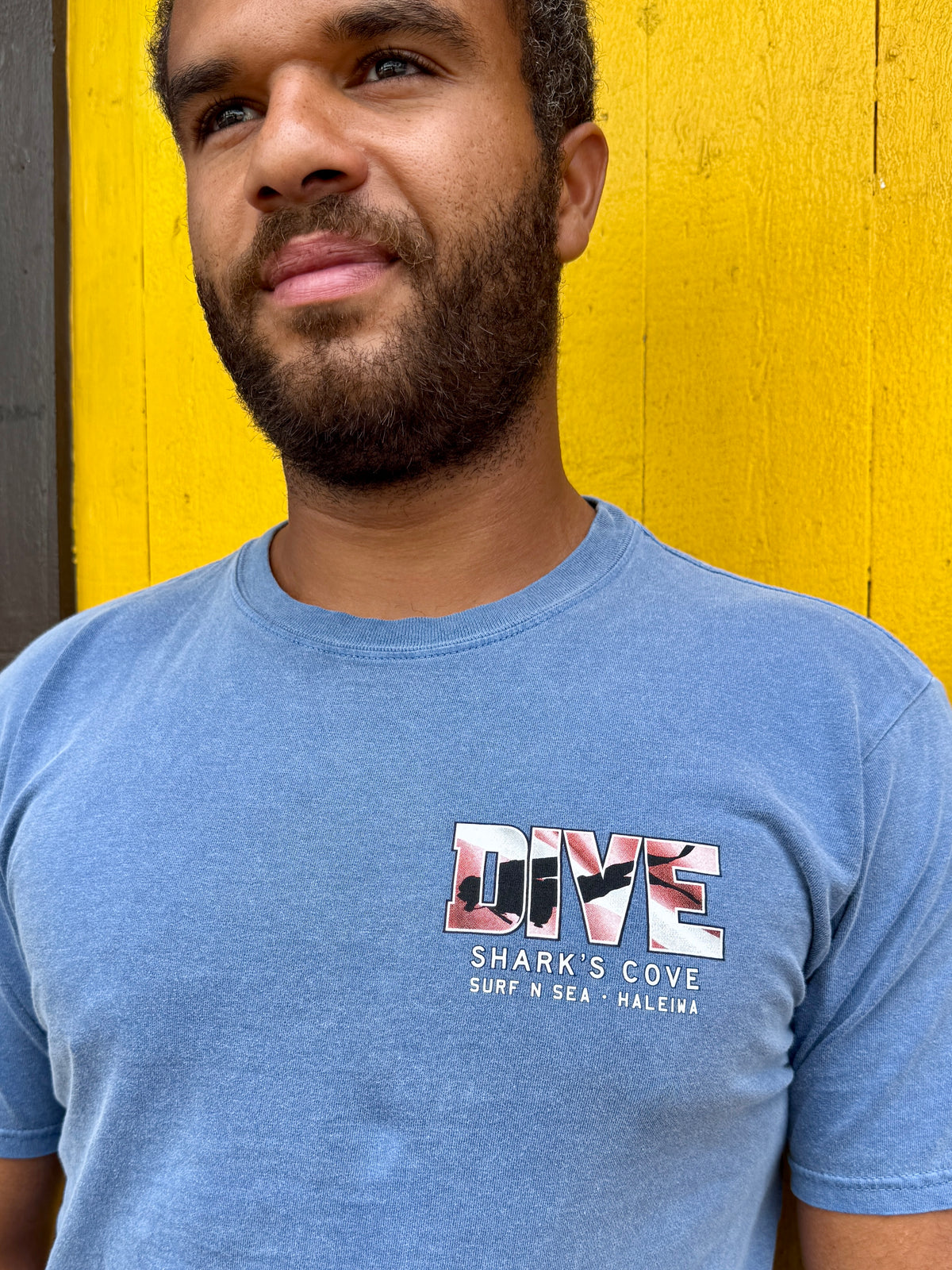 SNS BOTTOM TIME DIVE FLAG TEE
