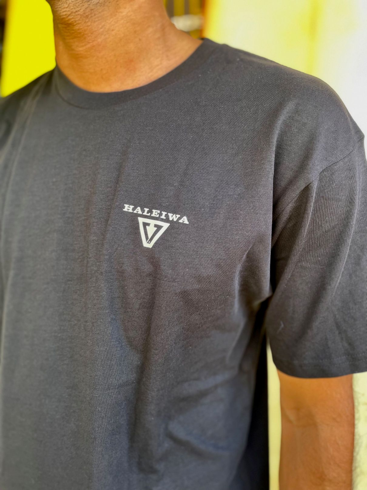 VISSLA SNS HALEIWA TRUCK TEE
