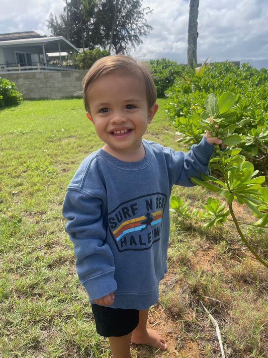 SNS tddlr RITTER VINTAGE CREW